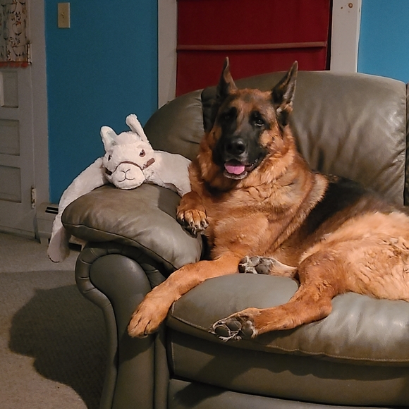 Meet your Posher, Katie - Picture 5 of 5